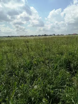 Участок в Ленинградская область, Ломоносовский район, Оржицкое с/пос, ...