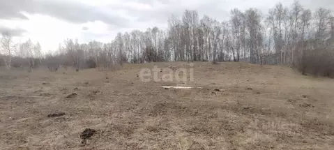 Участок в Алтайский край, Алтайский район, пос. Катунь  (20.0 сот.)