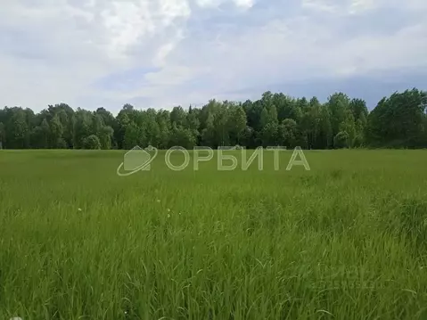 Участок в Тюменская область, Нижнетавдинский муниципальный округ, ...