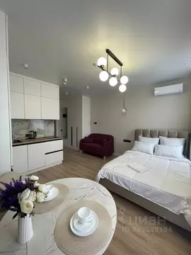 Студия Москва Березовая аллея, 19к6 (24.0 м)