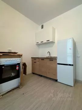 1-к кв. Санкт-Петербург пос. Шушары, просп. Старорусский, 5к1 (29.0 м)