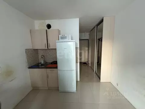 Студия Тюменская область, Тюмень ул. Новоселов, 117 (17.0 м)