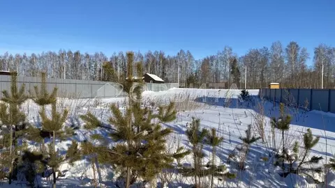 Участок в Тюменская область, Тюменский район, д. Якуши пер. Мичурина ...