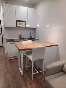 Студия Санкт-Петербург Планерная ул., 87к1 (23.0 м)