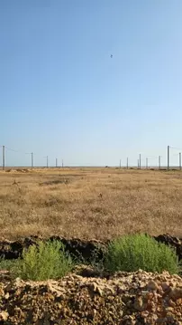 Участок в Крым, Сакский район, Штормовское с/пос, с. Поповка  (6.0 ...