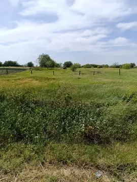 Участок в Ростовская область, Неклиновский район, с. Лакедемоновка ...