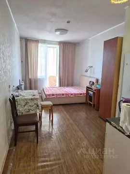 Студия Санкт-Петербург Пулковская ул., 6к2 (24.7 м)