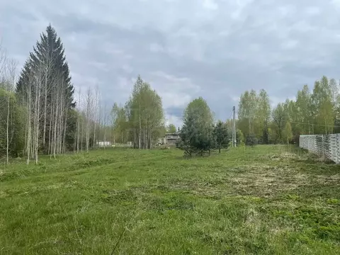 Участок в Новгородская область, Боровичский район, Сушанское с/пос, ...