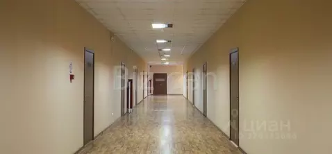 Офис в Санкт-Петербург Малая Митрофаньевская ул., 4 (300 м)