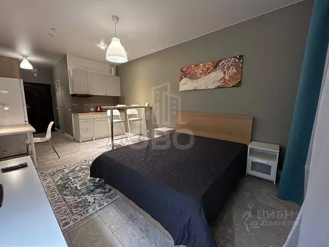 Студия Санкт-Петербург ул. Савушкина, 104 (27.0 м)