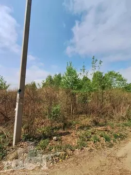 Участок в Приморский край, Артем Глобус-1 СТ,  (10.0 сот.)