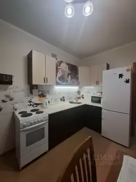 1-к кв. Московская область, Ногинск Богородский городской округ, ул. ...