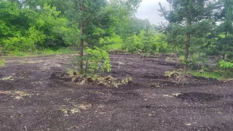 Участок в Челябинская область, Сосновский район, пос. Солнечный  (6.25 ...