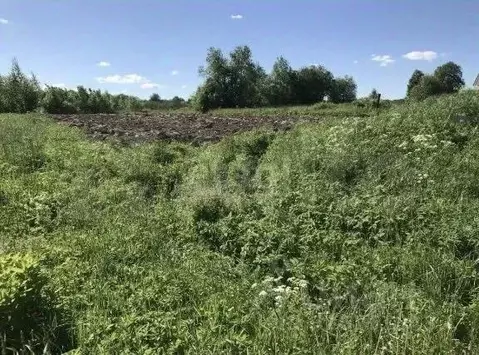 Участок в Ленинградская область, Волховский район, Усадищенское с/пос, ...