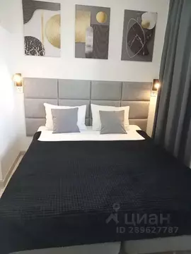 Студия Тверская область, Тверь ул. Склизкова, 116к5 (17.0 м)