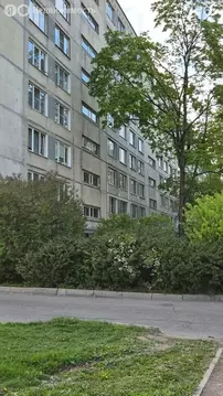 1-комнатная квартира: Санкт-Петербург, Белградская улица, 28к1 (30 м)