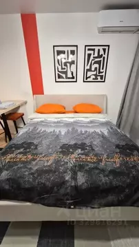Студия Москва ул. Михайлова, 30Ак2 (25.0 м)