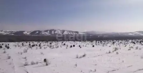 Участок в Алтайский край, Алтайский район, Айский сельсовет, ...