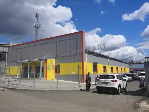 Торговая площадь в Владимирская область, Владимир ул. Чайковского, 3Б ...