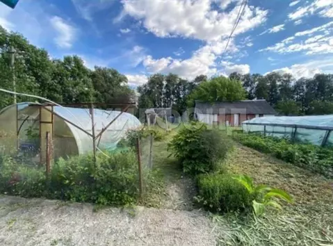 Дом в Брянская область, Почепский район, Речицкое с/пос, пос. Речица ...