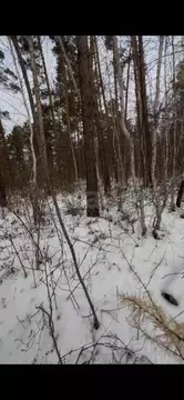 Участок в Саха (Якутия), Якутск Баал Заимката тер., ул. Сайдыы, 212/1 ...