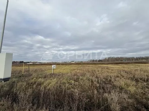 Участок в Тюменская область, Тюменский муниципальный округ, с. Каменка ...