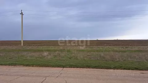 Участок в Крым, Сакский район, Молочненское с/пос, с. Витино  (3.16 ...