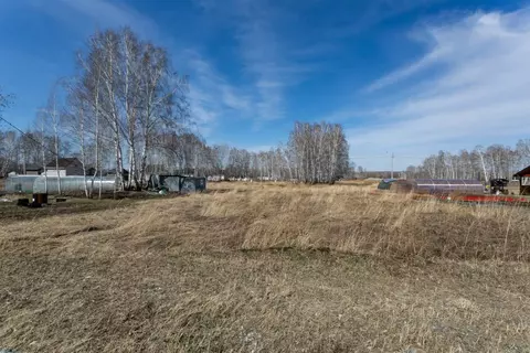 Участок в Новосибирская область, Новосибирский район, Сибирские ...