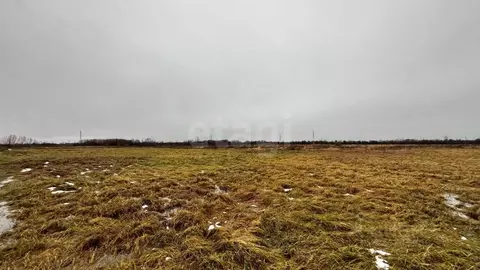 Участок в Архангельская область, Приморский муниципальный округ, д. ...