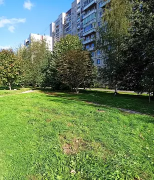 2-к кв. Санкт-Петербург ул. Репищева, 21К1 (55.2 м)