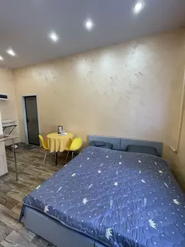 Студия Московская область, Егорьевск ул. Горького, 19/10 (20.0 м)