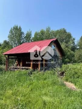 Дом в Новосибирская область, Ордынский район, с. Антоново ул. ...