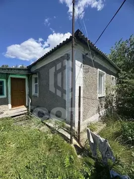Дом в Воронежская область, с. Новая Усмань ул. Набережная, 16 (55 м)