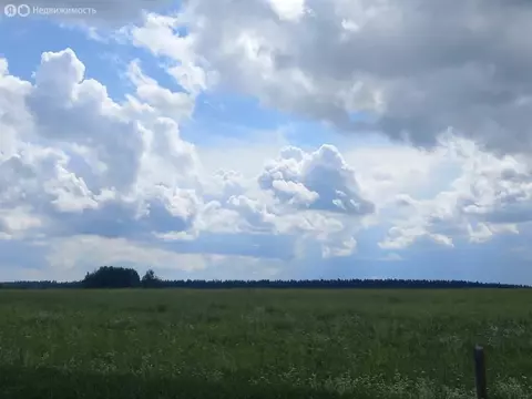 Участок в Ленинградская область, Гатчинский муниципальный округ, ...