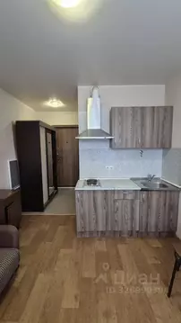 Студия Московская область, Щелково городской округ, пос. ...