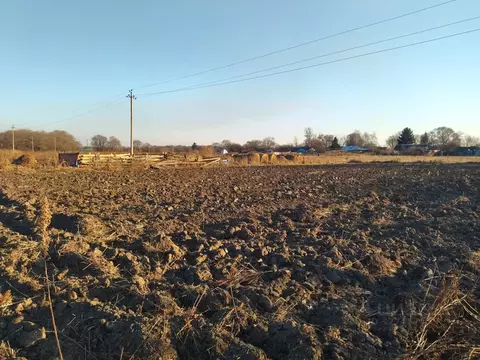 Участок в Приморский край, Октябрьский муниципальный округ, с. ...