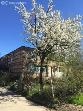 2-комнатная квартира: Анапа, Парковая улица, 68 (50 м)