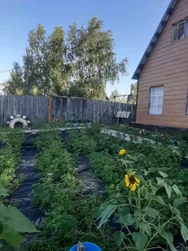 Дом в Саха (Якутия), Якутск ул. Московская, 35/1 (12 м)