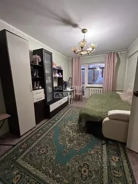 1-к кв. Омская область, Омск пос. Амурский, ул. Багратиона, 27А (31.3 ...