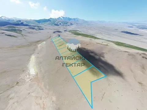 Участок в Алтай, Кош-Агачский район, с. Ортолык  (500.0 сот.)