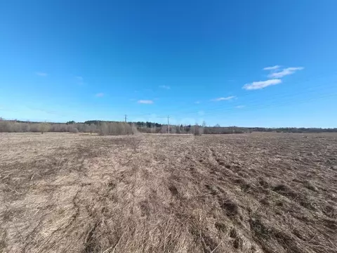 Участок в Вологодская область, д. Сусолово  (12.19 сот.)