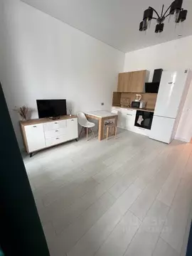 Студия Санкт-Петербург пос. Стрельна, просп. Буденного, 20к5 (27.3 м)