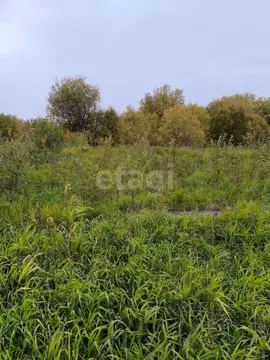 Участок в Ханты-Мансийский АО, Ханты-Мансийского муниципального района ...