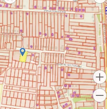 Участок в Воронежская область, Рамонский район, с. Новоживотинное ул. ...