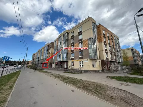 Помещение свободного назначения в Санкт-Петербург просп. Юнтоловский, ...