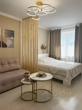 1-к кв. Амурская область, Благовещенск Игнатьевское ш., 15 (38.0 м)