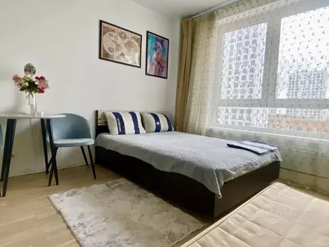 Студия Москва ул. Поляны, 5Ак1 (24.0 м)