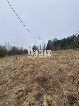 Участок в Ленинградская область, Выборгский район, Рощинское городское ...