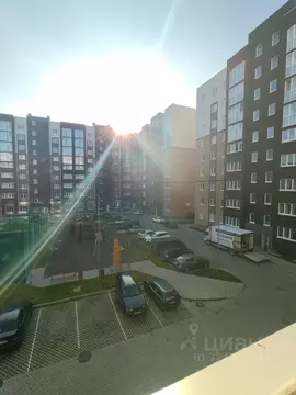 3-к кв. Калининградская область, Калининград бул. Борисовский, 17 ...