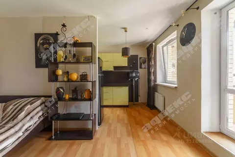 Студия Санкт-Петербург пос. Парголово, ул. Федора Абрамова, 21к3 (30.9 ...
